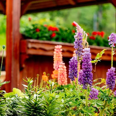 Semler Σπίτι διακοπών Puchberg am Schneeberg