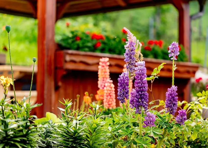 Semler Ferienhaus Puchberg am Schneeberg